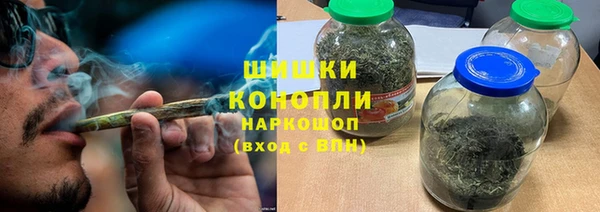 сатива Надым