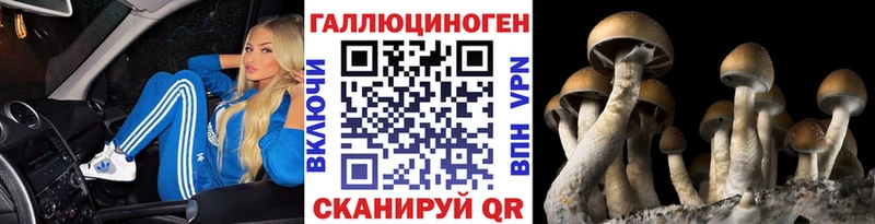 мориарти официальный сайт  Бокситогорск  Галлюциногенные грибы мицелий 
